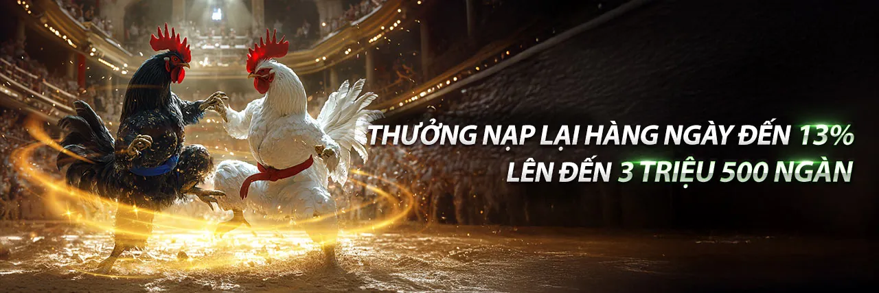 Đá gà trực tuyến với khung cảnh sân đấu sôi động